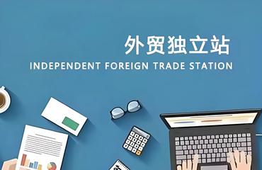 月销75万美金的外贸独立站启示录：SEO+视频双引擎流量模型拆解